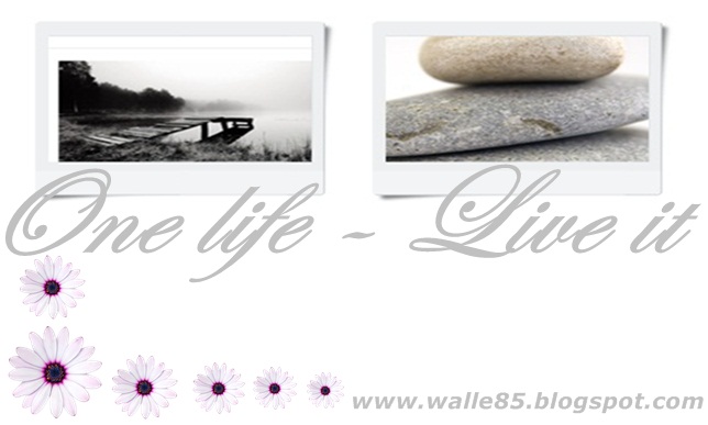 One life - live it!