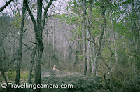 This year I was exploring Karnataka state of India and during the same trip I also visited Kabini Tiger reserve & wildlife sanctuary. I have done more than a dozen safaris in Wildlife sanctuaries in north India and success rate of Tiger sighting has been pretty low. I had never seen any Leopard in the wild and here I saw 2 leopard at the same time. And not only that, these leopards were around us for at least 15 minutes. We saw them drinking water in a pond and then taking some rest under the sun, before they headed back towards the forest. This post shares some of the such interesting experiences from Kabini Tiger Reserve. We have also tried to share some details details around - how to reach Kabini, main places to stay, what else to explore locally apart from Wildlife Safari.