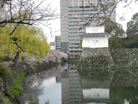 Sakura, willow and castle