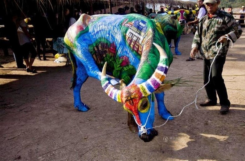 buffalo-bodypainting-2