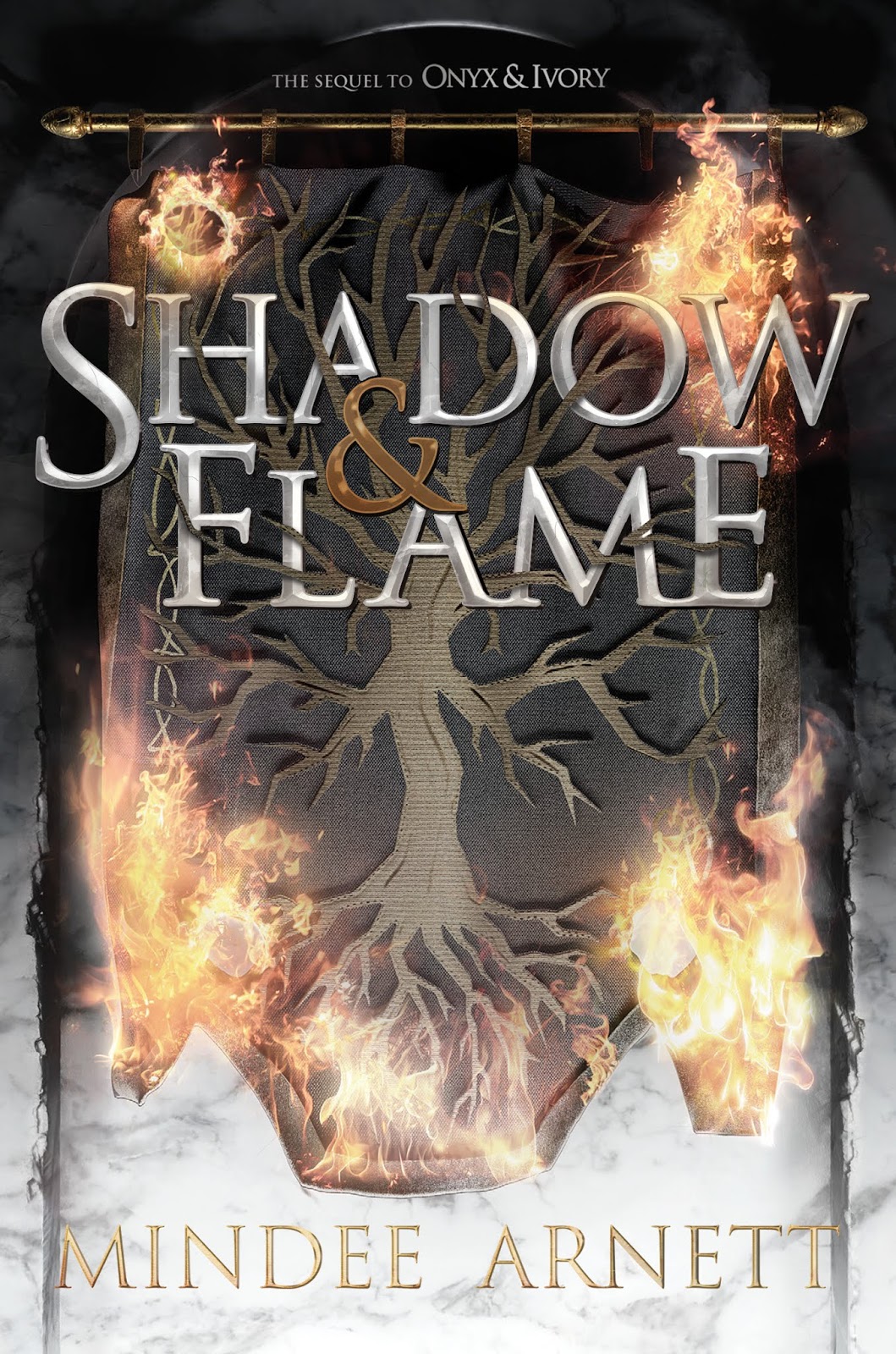 house of flame and shadow
