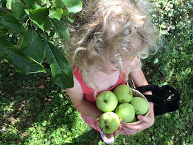 la petite fille aux pommes et au sac poilu