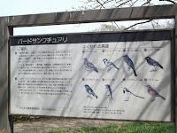 Bird identification panel, Tokyo, Japan