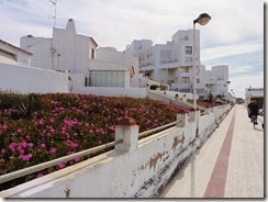 P1000737