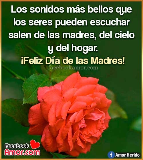 rosa con frase para mamá