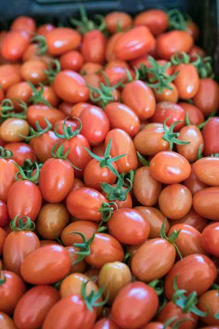 Consorzio di tutela del Pomodoro di Pachino IGP