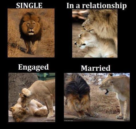 16 Funny Pictures Of The Startling Differences Between Single And Married Life