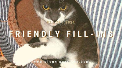 15 Years of Feral Fridays