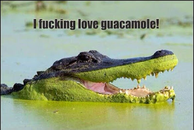 I love guacamole..