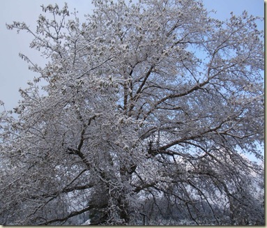 PC051009