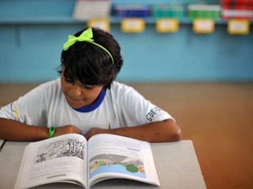 Brasileiro lê apenas dois livros por ano, revela pesquisa