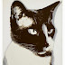 Andy Warhol E Seus 25 Gatos Chamados Sam E Uma Gatinha Azul