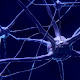 Nuevo avance en el desarrollo de neuronas artificiales.