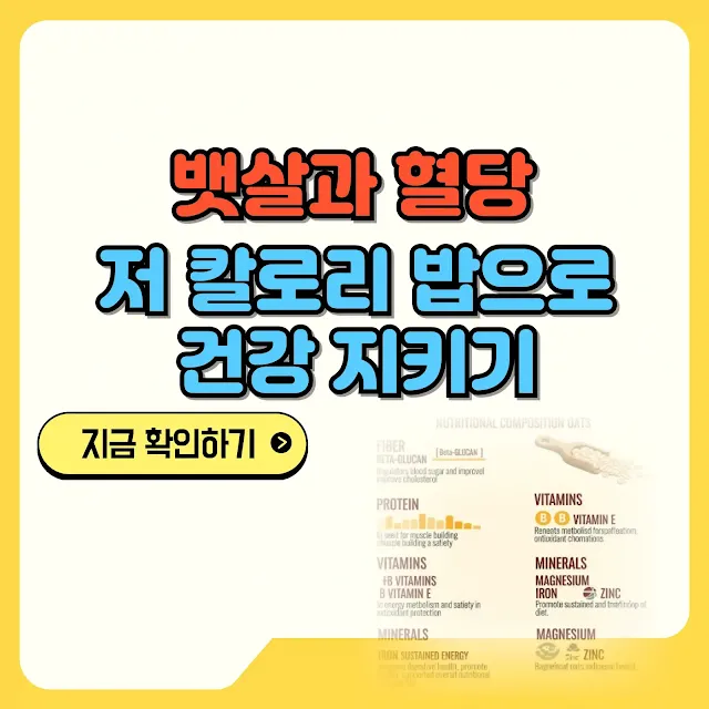 뱃살과 혈당 저칼로리 밥 만드는 법 텍스트와 이미지