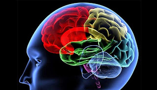 7 Tips how to increase your brain intelligence