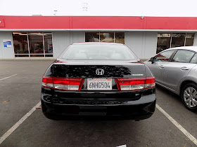 Honda Accord with oxidized clear coat after complete paint job at Almost Everything Auto Body.