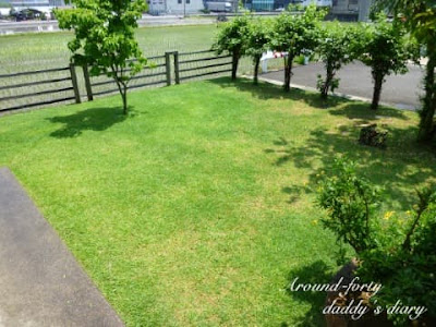 芝生 生えない 546692-マイクラ 芝生 生えない