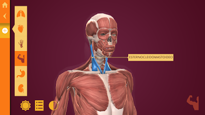 “Anatomy: El Cuerpo Humano”: una app para aprender anatomía