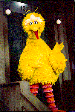 Big Bird