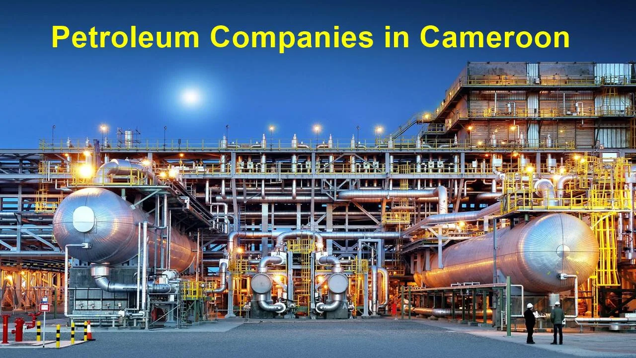 Top Petroleum Companies in Cameroon: Oil and Gas