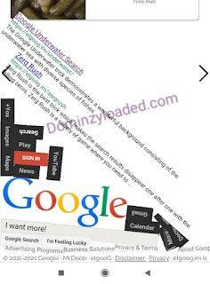 Google Gravity page