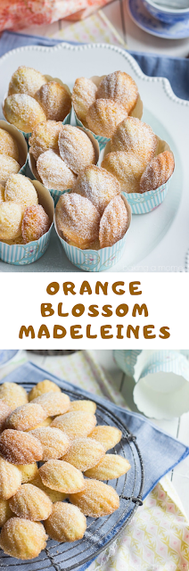 Orange Blossom Madeleines