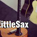 Review Travel Saxophone LittleSax 11-Holes