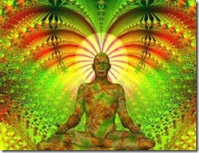 ayahuasca