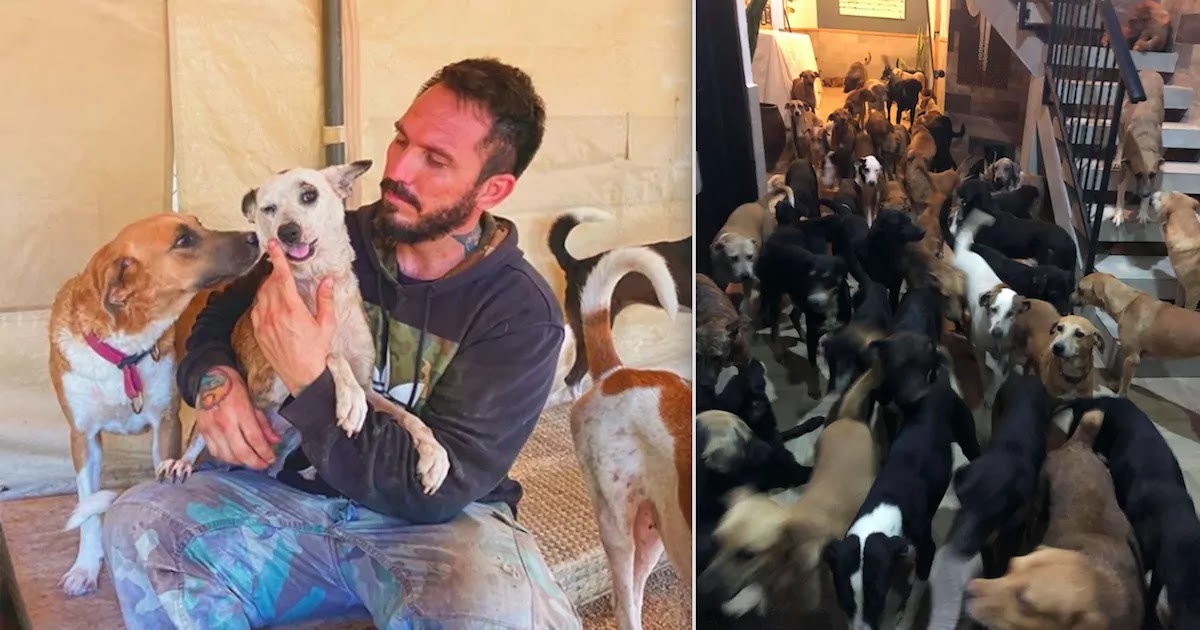 Man In Cancun, Mexico, Rescues 300 Dogs From A Hurricane By Taking Them All Into His Own Home