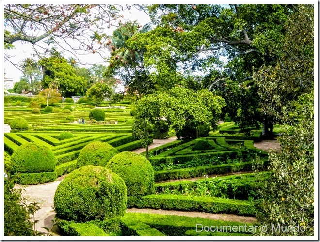 Parterre de buxo; Jardim Botânico da Ajuda; Ajuda; Lisboa