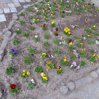 花博記念公園鶴見緑地　フランスの庭園　花壇