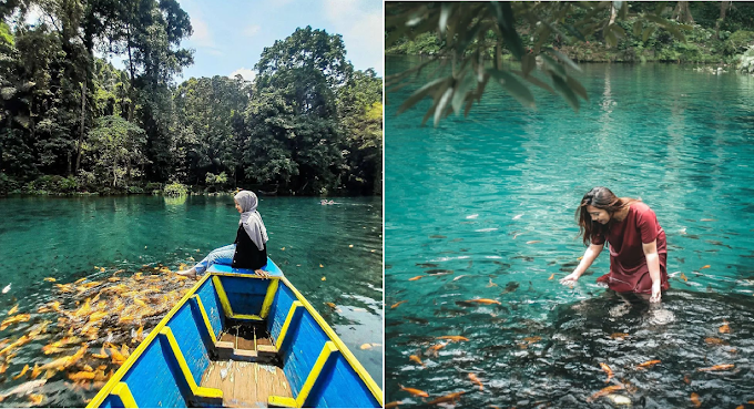 Wisata Situ Cipanten  : Berenang Sama Ikan, Ragam Pesona, Aktivitas Wisata,Tiket Masuk & Lokasi