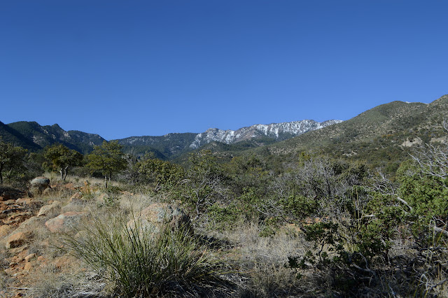 snow at the higher elevations