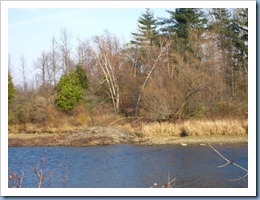 20111107_bird-sanctuary_007