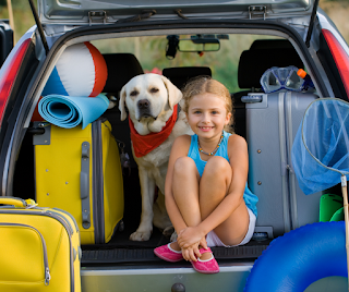 Young girl and a golden Labrador dog sat in a car boot surrounded by luggage