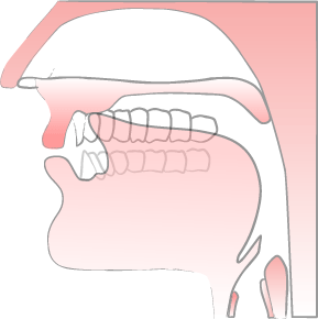 Fonema Inglés Palatal Interdental