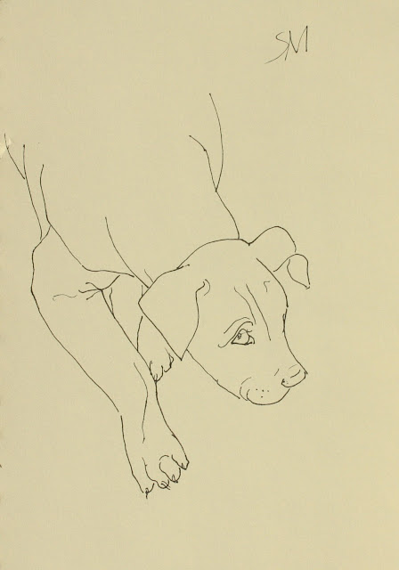 Puppy Looking, Pale-eyed, Sarah Myers, S. Myers, line-drawing, drawing, ink, study, sketch, paper, art, dog, arte