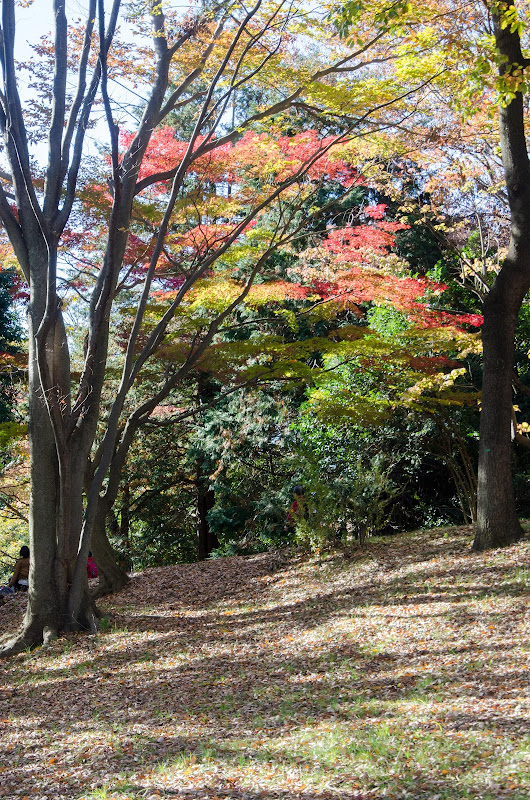 DSC_9194.jpg