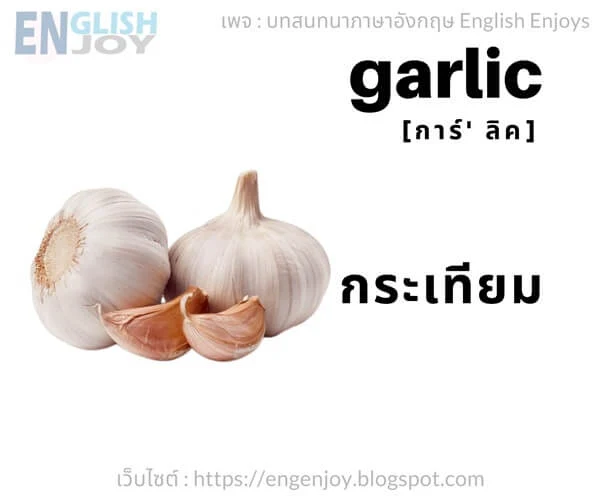 คําศัพท์ภาษาอังกฤษ ผัก - Garlic (กระเทียม)_Vegetables