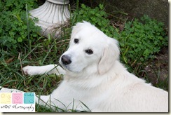 El Cerrito Portrait Photography (2 of 7)