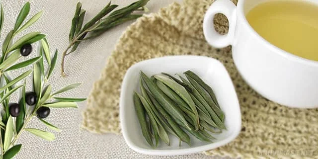 zeytin yaprağı çayı aç karnına mı tok karnına mı içilir, zeytin yaprağı çayı bebeklere verilirmi, zeytin yaprağı çayı doğadan - www.kahvekafe.net