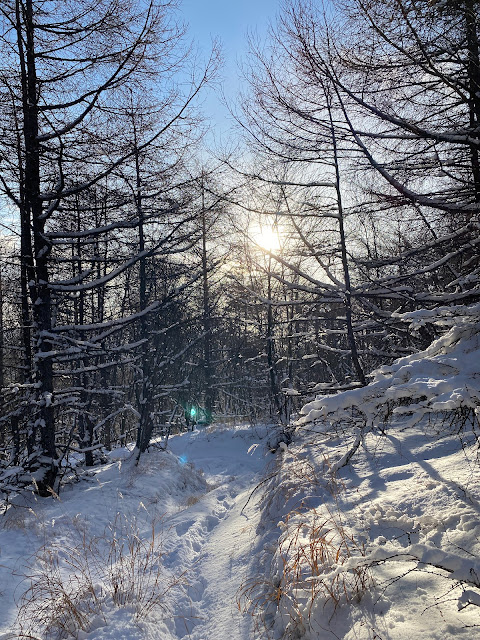snowy trail to Koasama