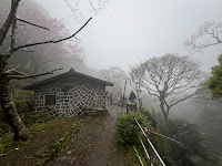 淡水楓樹湖「巨石花園」賞木蓮花 (木蘭） / 桃花源 百年古厝「石頭屋」秘境賞櫻