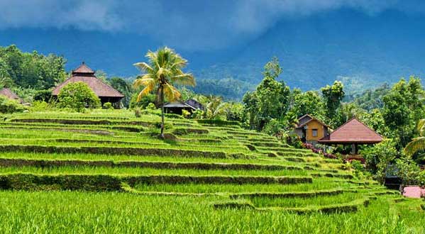Tempat Wisata di Ubud Bali yang Mengagumkan