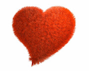 Love Heart HD Wallpapers (love heart wallpapers )