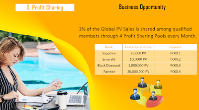 The opportunity to work, share profits, the size of points, promotion and bonuses for each swimming pool, through which profits are distributed