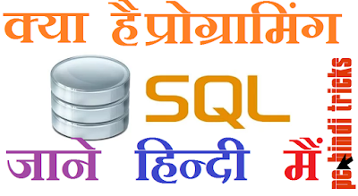 SQL  प्रोग्रामिंग  क्या  होती  है ?  what is the sql programing [Hindi]