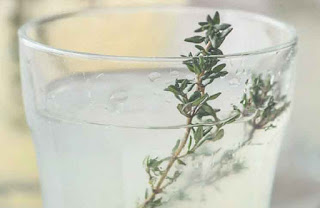  فوائد صحية مذهلة لا تعرفونها عن الزعتر thyme benefits