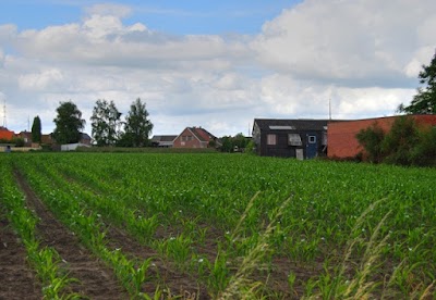 144/365 – Frustrating Belgian Weather