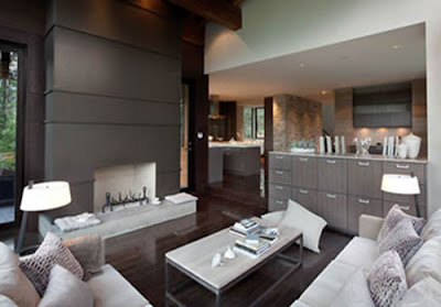 Living Room Design Trend 2011